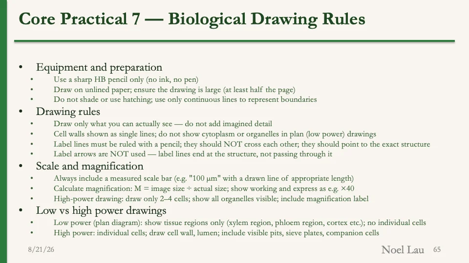 Slide 65