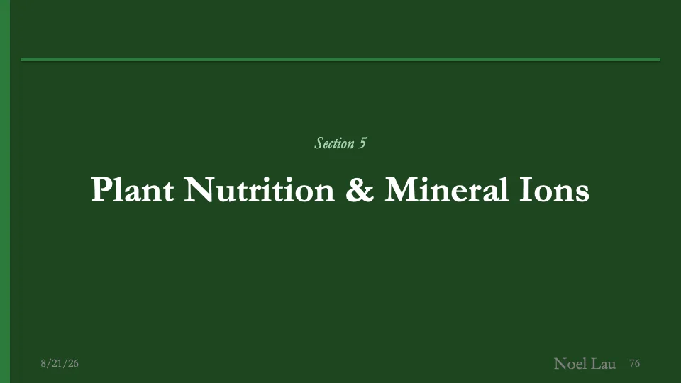 Slide 76