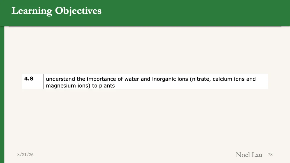 Slide 78