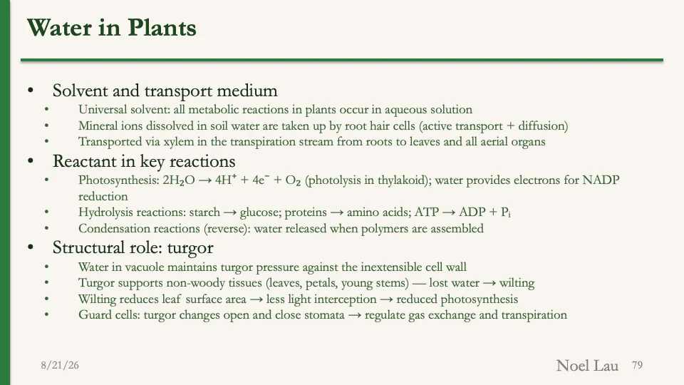 Slide 79