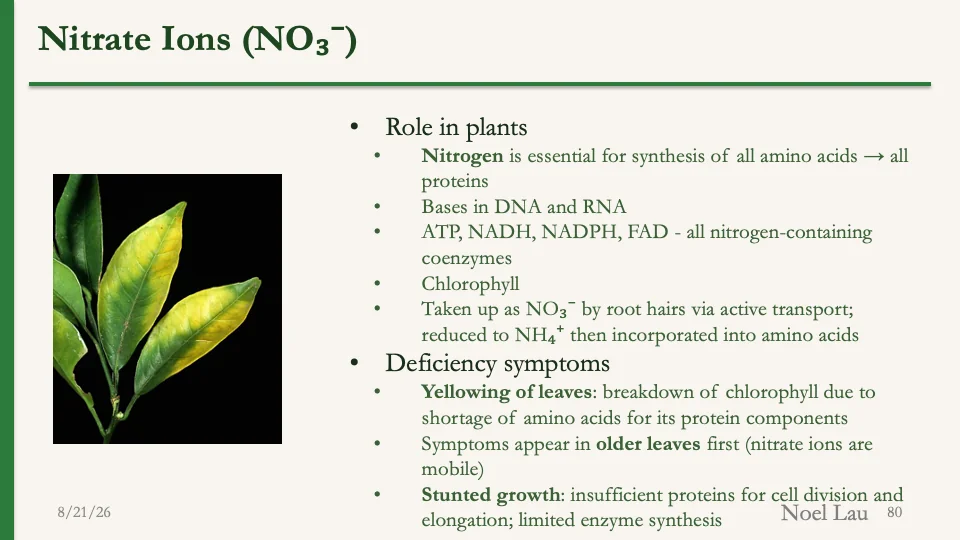 Slide 80