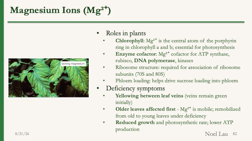 Slide 82