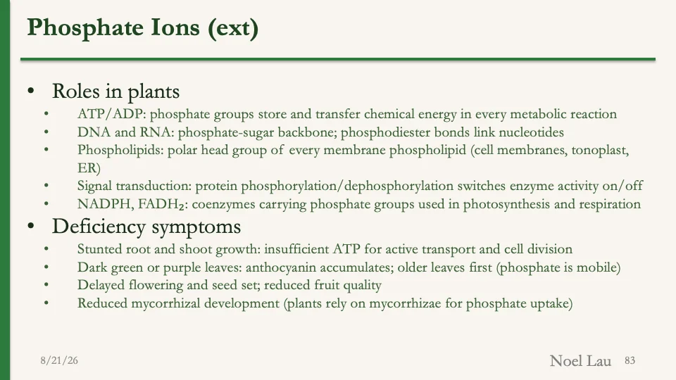 Slide 83