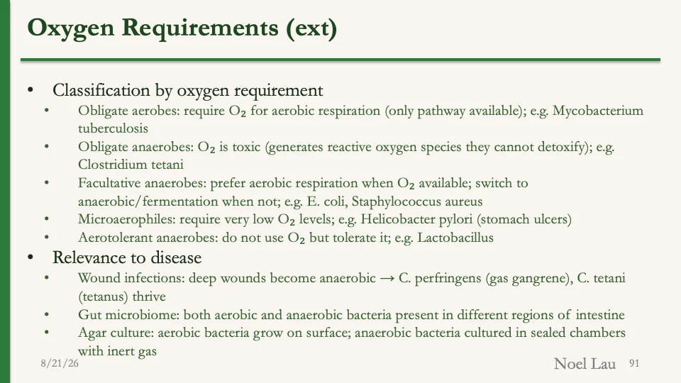 Slide 91