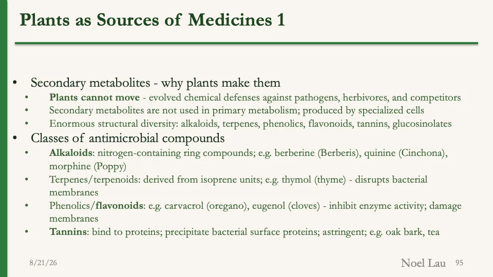 Slide 95