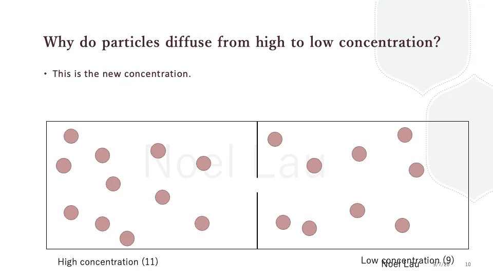 Slide 10