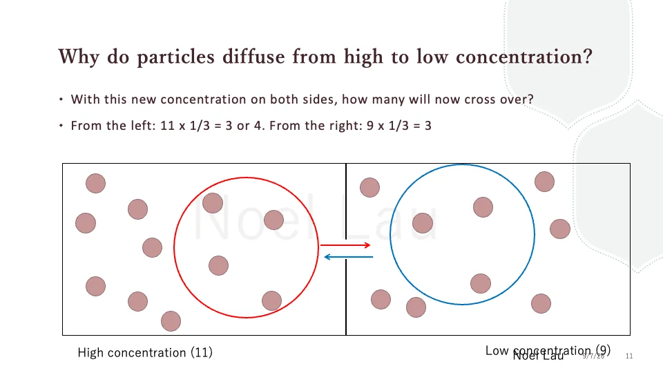 Slide 11