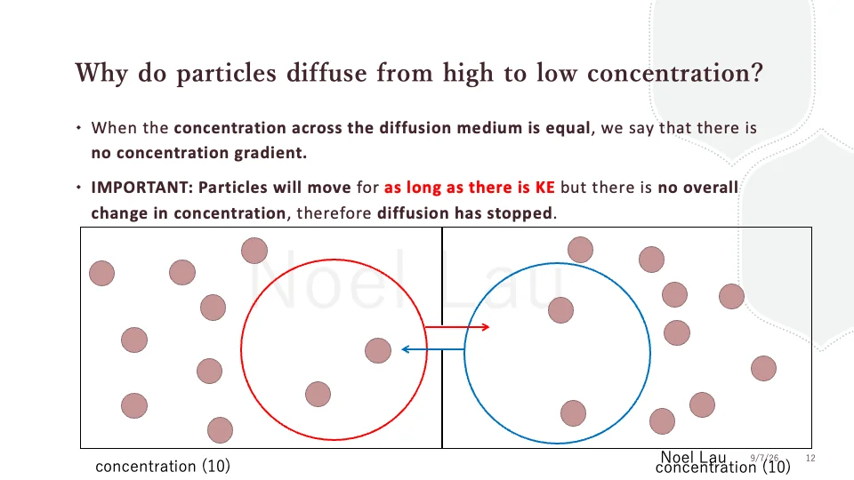 Slide 12