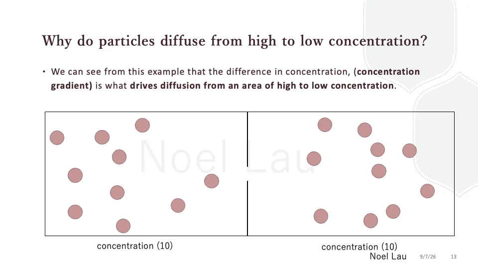 Slide 13