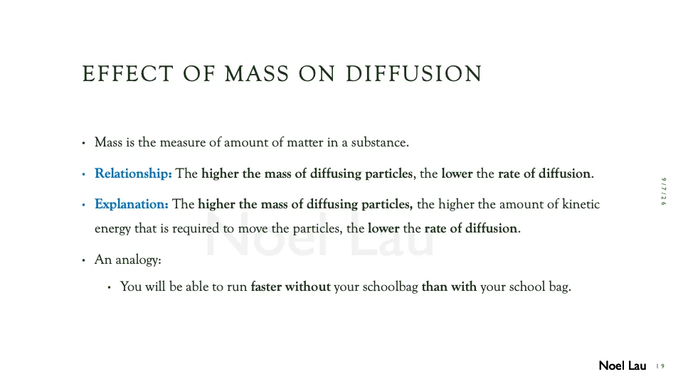 Slide 19