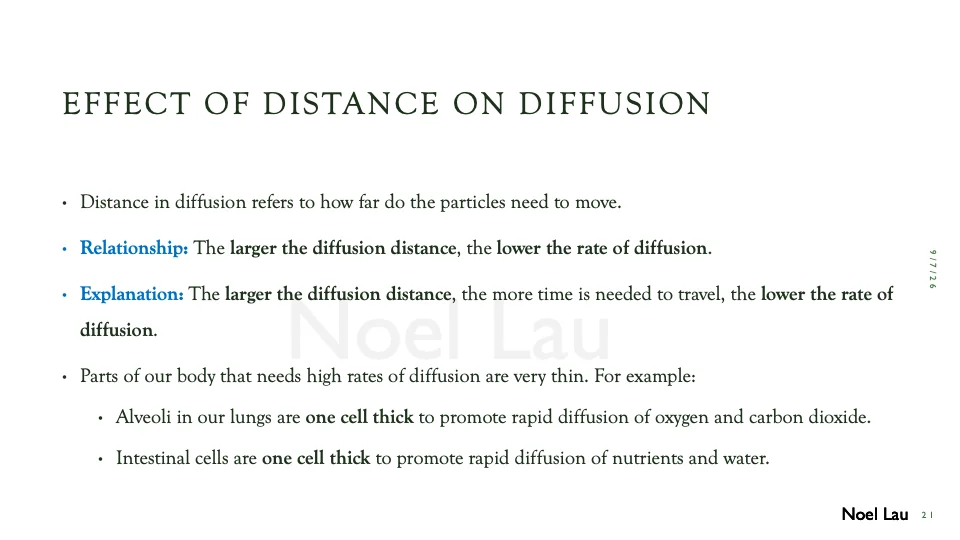 Slide 21