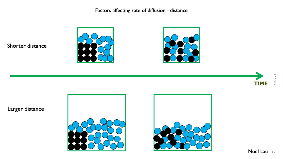 Slide 22