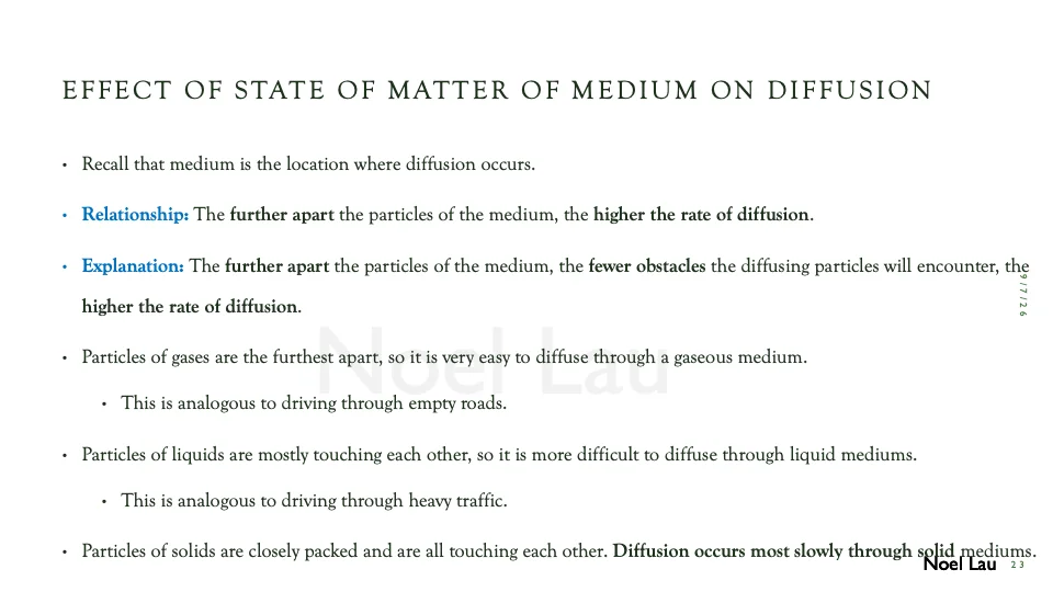 Slide 23