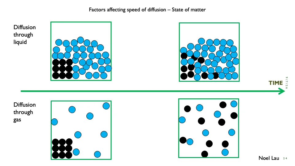 Slide 24