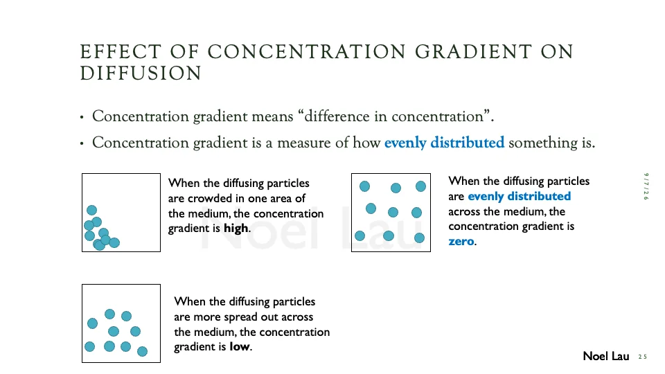 Slide 25