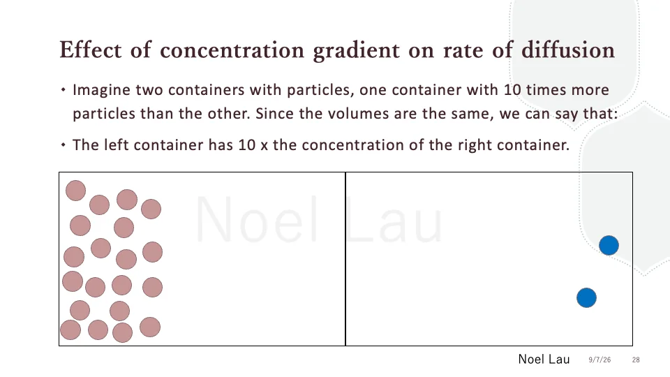 Slide 28