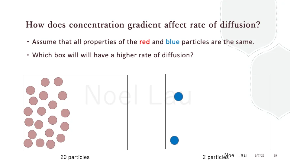 Slide 29
