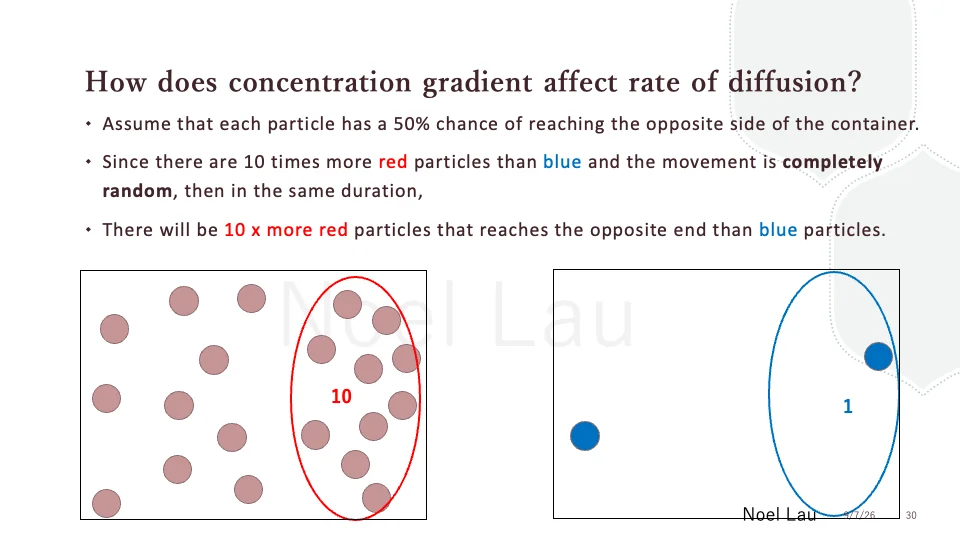 Slide 30