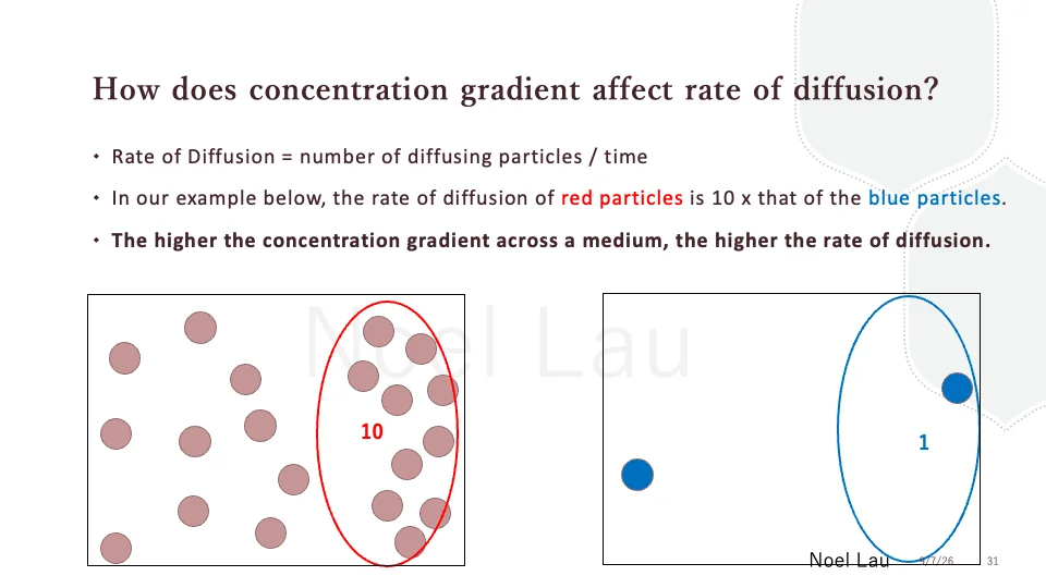 Slide 31