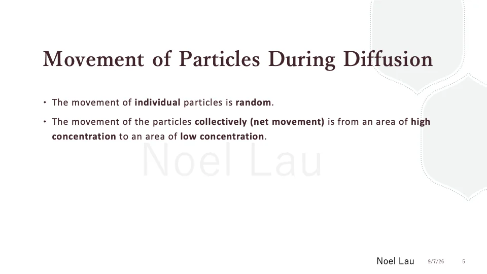 Slide 5