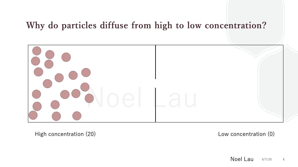 Slide 6