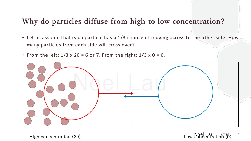 Slide 7