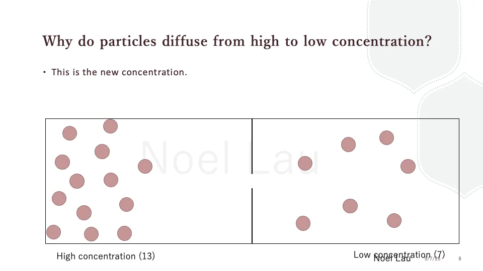 Slide 8