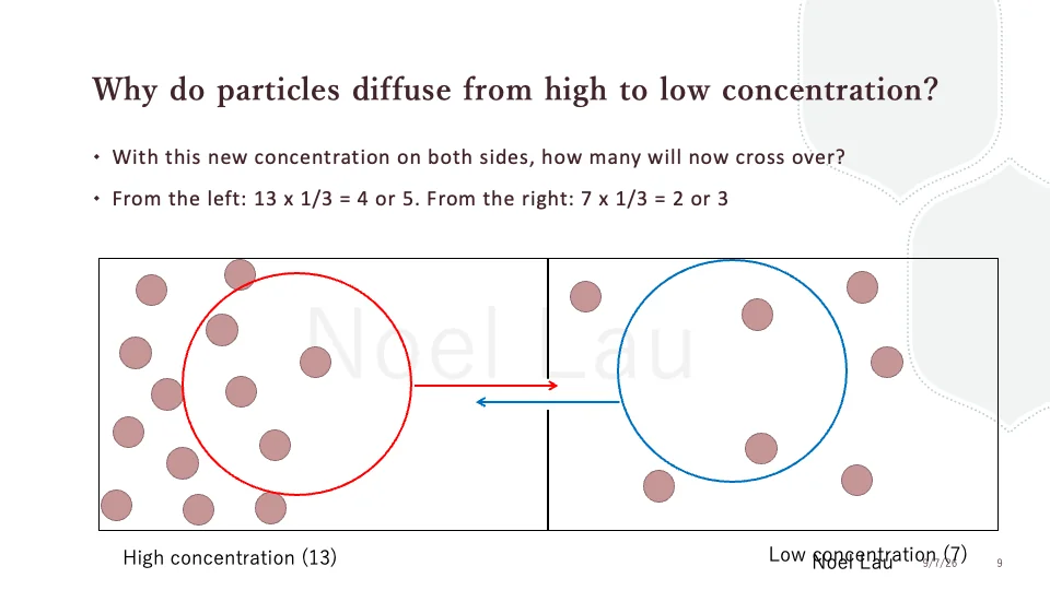 Slide 9
