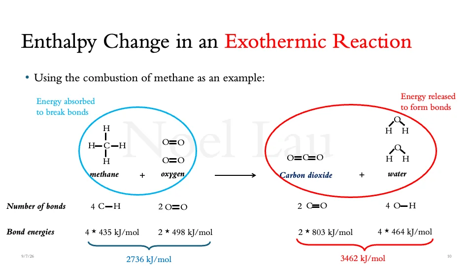 Slide 10