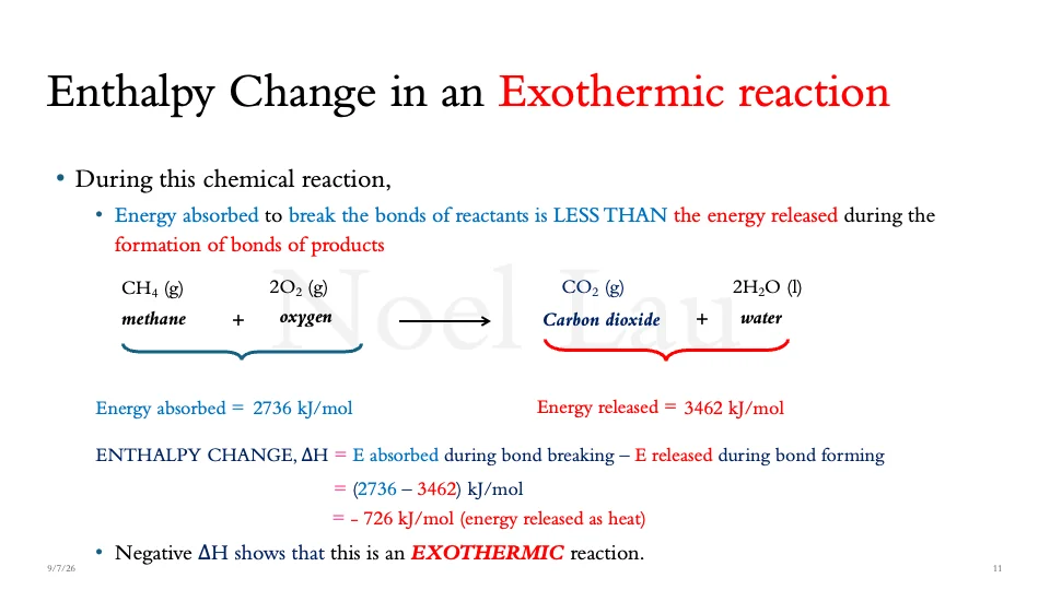 Slide 11