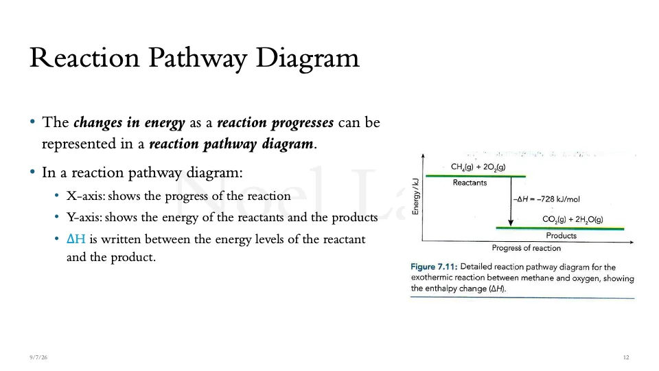 Slide 12