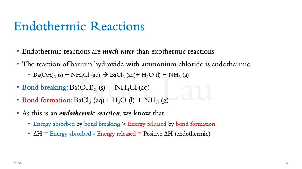 Slide 13