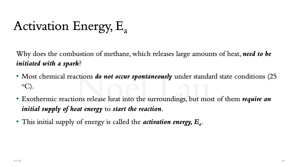 Slide 19