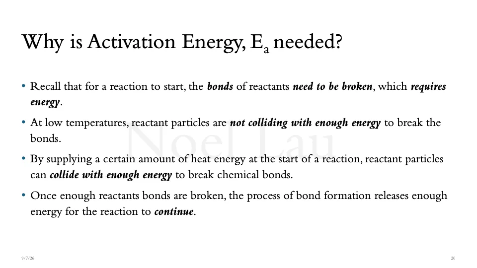 Slide 20