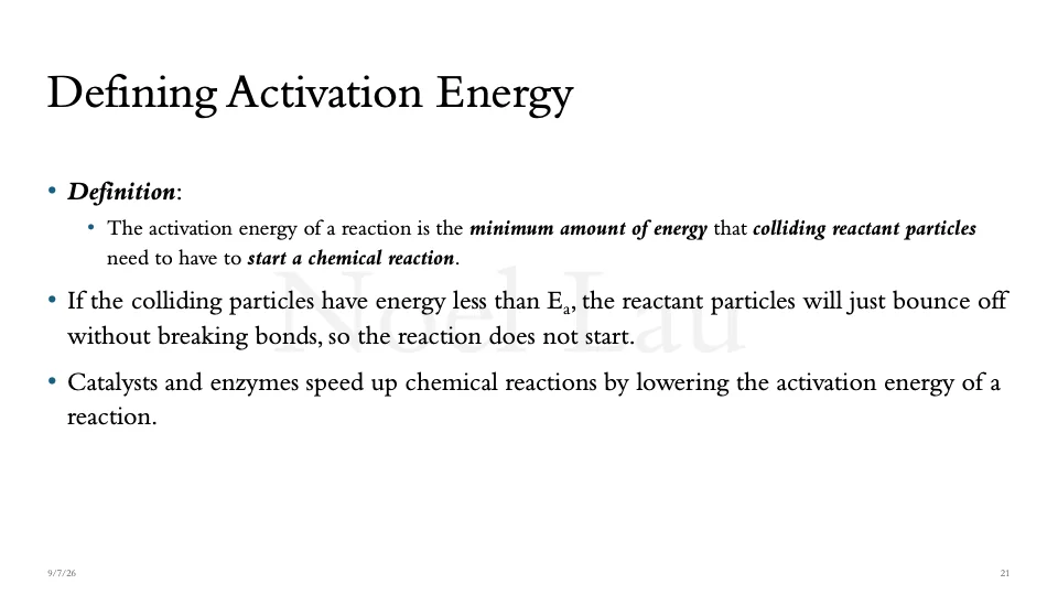 Slide 21