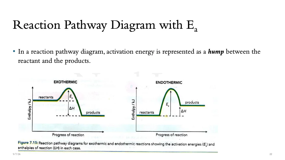 Slide 22