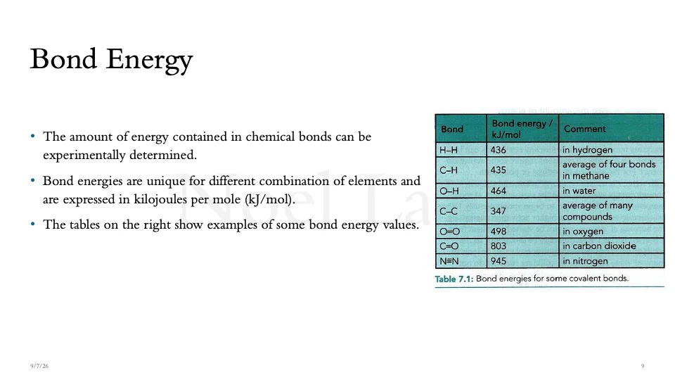 Slide 9