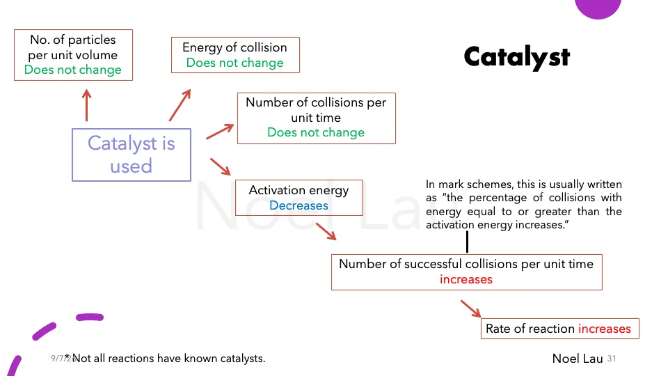 Slide 31
