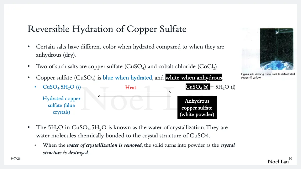 Slide 10