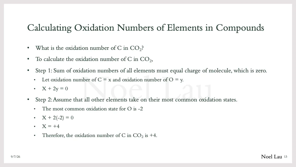 Slide 13